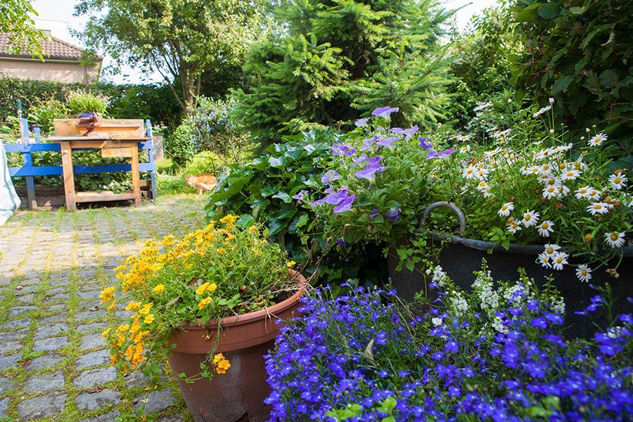 B&B T'Keygoed Gand Esterno foto